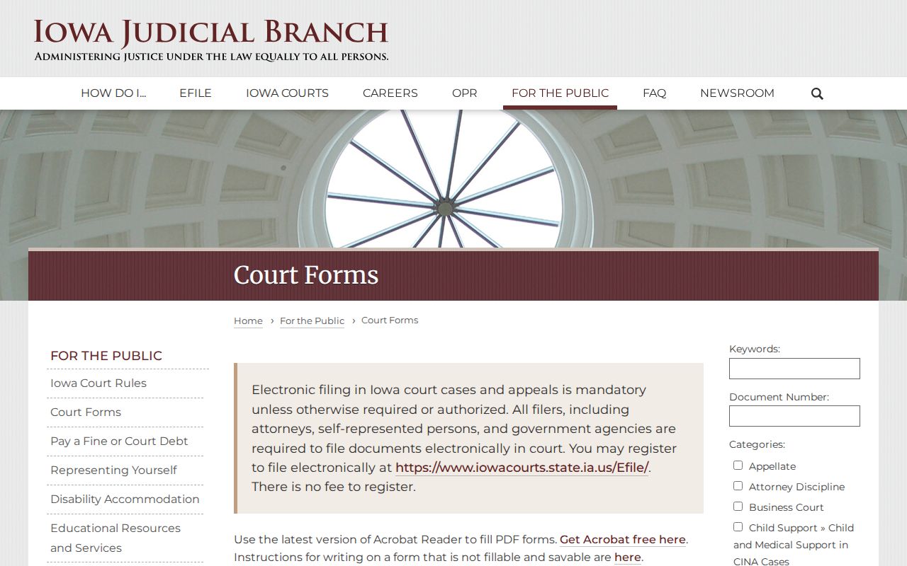 Iowa court forms for Cerro Gordo County criminal court cases